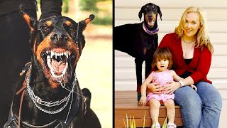This Family Adopted A DOBERMAN But After 5 Days They Heard A SCREAM