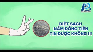 Diệt Sạch Nấm Đồng Tiền Trong Ao Nuôi 