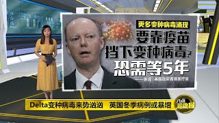 Delta变种病毒病例激增   英国恐面临新一波的疫情 | 八点最热报 20/06/2021