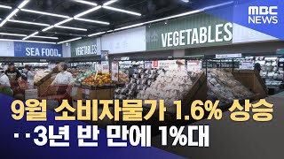 9월 소비자물가 1.6% 상승‥3년 반 만에 1%대 (2024.10.02/5시뉴스와경제/MBC)