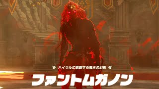 【ノーダメージ/がんばり初期値】ハイラルに暗躍する魔王の幻影 ファントムガノン【ゼルダの伝説 _ ティアーズオブザキングダム】