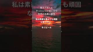 覚えておくと きっといつか役に立つ 世界の名言・格言 169 #名言 #格言 #名言シリーズ #刺さる名言 #今日の名言 #偉人の名言 #偉人の言葉 #座右の銘 #開運 #shorts