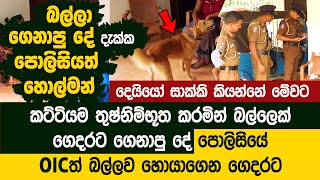 බල්ලෙක් ගෙදරට ගෙනාපු දේ දැක්ක පොලිසියත් හොල්මන් වෙයි