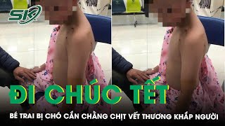 Xót xa bé trai 10 tuổi bị chó cắn khi đi chúc Tết chằng chịt vết thương khắp người | SKĐS