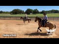 Trevor Brazile Helping Young Horses Lock on to the Steer