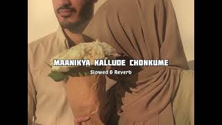 Maanikya kallude Chonkume|Slowed \u0026 Reverb Malayalam Mapila Song