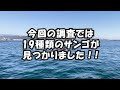 桂浜沖の謎の巨大穴！