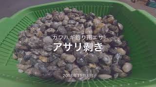 【カワハギ用のエサ】簡単なアサリの剥き方