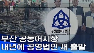 부산 공동어시장 내년에 공영법인 새 출발  부산MBC20190613