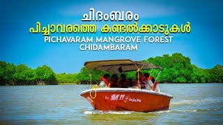 പിച്ചാവരത്തെ കണ്ടൽക്കാടിനുള്ളിൽ | Pichavaram mangrove forest | Chidambaram