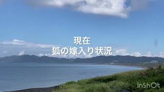 フルフラットな平砂浦波情報