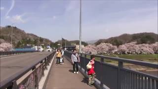 【旅エイター】桜前線『桧木内川堤・ビデオ映像①』　秋田県仙北市・一人旅