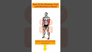 BEGINNER-FRIENDLY WORKOUT! Hammer Curl with Resistance Band Workout.