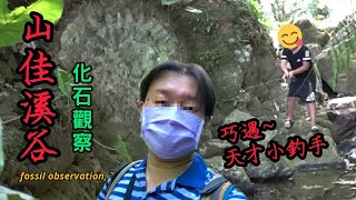 【力克行腳】樹林山佳-化石觀察(feat.天才小釣手) (Ps.碼賽克太大了，但我懶得重傳了)