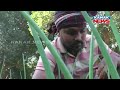 kandhamal a story of an engineer farmer farming by organic way