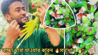 পাকিস্তানি বা ইন্ডিয়ান চন্দনা বাচ্চা মরে যাওয়ার বিশেষ কারণ ও সমাধান 🔥 Birds Help care