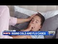 keeping yourself and others safe from the flu