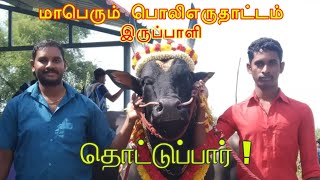 Iruppali PoliEruthattam || அடங்க மறுக்கும் காளைகள் || மாபெரும் எறுதாட்டம் || #iruppali #எருதாட்டம்