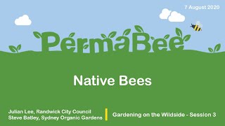 Gardening on the Wildside #3 - Native Bees