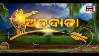 Annadata | Today Top News | Odisha News | 5th Sept 2022 | News18 Odia