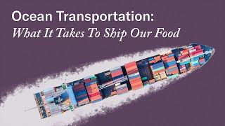 Ocean Transportation: How Container Shipping Works For Food