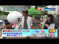 「東京生テレビ」【16 05 14号】（調布観光フェスティバル杉浦太陽、小路裕子出演）東京のj comチャンネル 地デジ11ch で放送中！