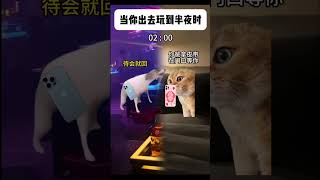 熱愛出門的你 #funny #搞笑影片 #猫 #貓 #cat #搞笑短視頻合集 #猫meme #搞笑 #猫meme小剧场 #真实改编 #喵不可言