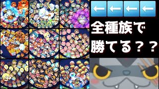 「限界に挑戦」ダークニャンを全種族でクリアしてみたwww「妖怪ウォッチぷにぷに、ぷにぷに」（滅龍特別編）