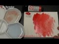 Daniel Smith Extra Fine Watercolour Cadmium Red Medium Hue 222 Series 3