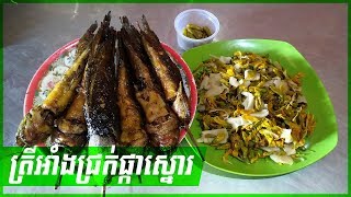 Grilled Fish with Pkar Snor Pickle - Khmer Village Daily Life