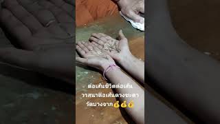 #live ต่อเส้นวาสนาต่อเส้นดวงชะตาวัดบางจากปากเกร็ดนนทบุรีปลุกเสกวัตถุมงคลพระปิดตาพุทธน้อย #ttvnews #