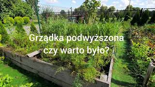 Grządka podwyższona czy warto było?