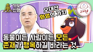 동물이든 사람이든 모든 존재가 행복하길 바라는 것_오대산 화엄의 가치 -기도신행 6-2