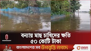 সিলেট ও মৌলভীবাজারে পুকুর-জলাশয় ভেসে ক্ষতির মুখে মাছ চাষিরা | Sylhet | Independent TV