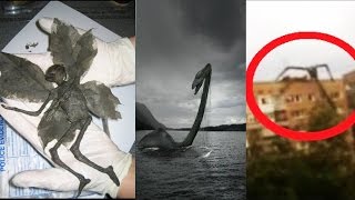 10 misteriose ed inquietanti creature riprese in video