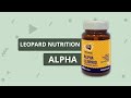 Leopard Nutrition- Alpha (Testosterone Booster) || Leopard Nutrition 💪 ||