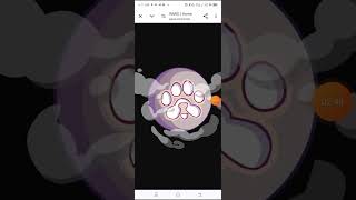 How to connect ur Solana/phantom wallet to ur paws 🐾 account.