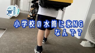 【こちら編集局】小学校に持って行く水筒に氷ＮＧ、なんで？