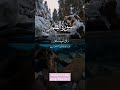 Surah ul Qamar (Ayah 54)  (Powerful Quran) translation tarjuma #islamicvideo #islamicshorts #status