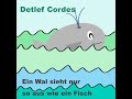 ein wal sieht nur so aus wie ein fisch