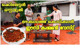 എളുപ്പത്തിൽ കപ്പലണ്ടി റോസ്റ്റും കട്ടൻ ചായയും 😋 /Easy Peanut Roast /Kappalandi roast /AJU'S WORLD