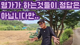 [마늘명가 TV]2024.08.07. 명가는 이렇게 농사준비합니다#귀농귀촌#서산마늘 #퇴비#대풍대풍