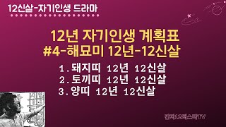 12신살- 자기인생 12년계획표 #4. 해묘미亥卯未 12년-12신살 -완성과정-돼지띠-토끼띠-양띠-신살을 통해 인생을 계획하고 건설하자