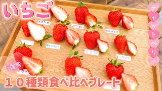 【いちご食べ比べ】10種類🍓いちご狩りも出来ます！《チャットベリー》