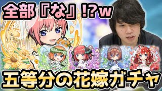 【コトダマン】五等分の花嫁コラボガチャ！圧倒的一花狙い！！【しろ】