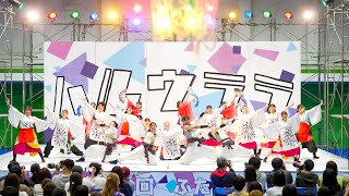 [4K] 大阪公立大学チーム朱蘭　2020年度演舞『勝鬨』　ふたば祭 2024 大阪公立大学 学園祭