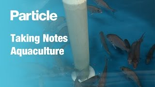 Taking Notes: Aquaculture