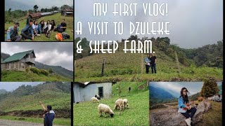 A Visit to Dzuleke \u0026 Sheep Farm | My first Vlog!