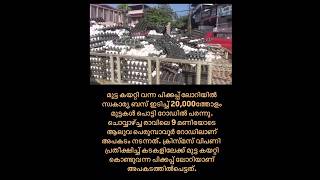 ബസ്സിടിച്ചു 20,000തോളം മുട്ട പൊട്ടി റോഡിലൊഴുകി😱🥚🥚 #kerala #shorts  #aluva #kochi #india