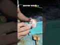 ह्या माश्या चा तोंडा पासून सावध रहा 😱🐟 fishing sealife